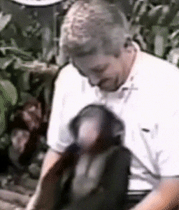 ooh thats dirty 61 pics 3 gifs 28.html - 61 HD GIF | Premium Gallery 2022