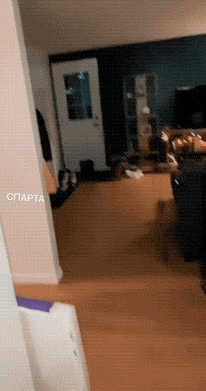 theyll never stop drinking 27 pics 18 gifs 21.html - 27 HD GIF | Premium Gallery 2022