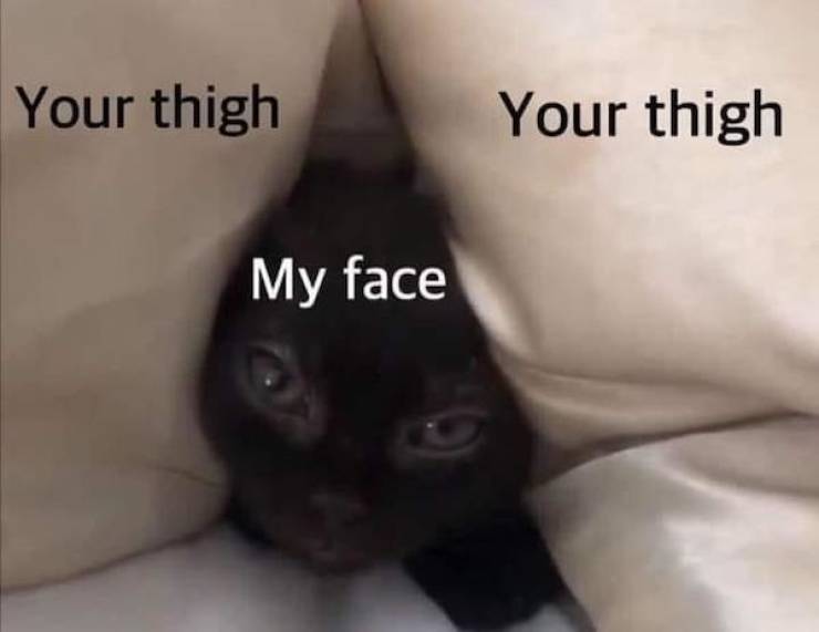 these are some naughty nsfw memes 49 pics 22.html - 49 HD Photos | Premium Gallery 2022