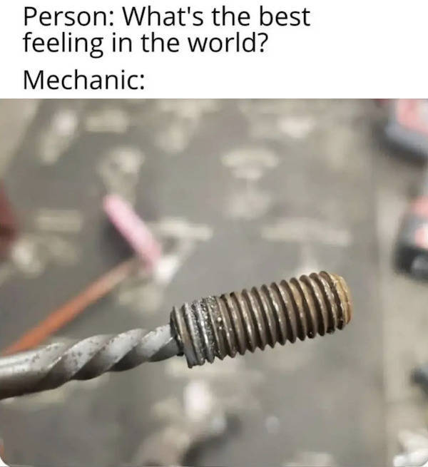 these are some naughty memes 56 pics 5.html - 56 HD Photos | Premium Gallery 2022