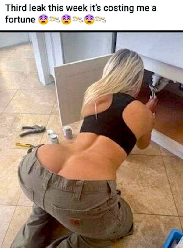 these are some naughty memes 56 pics 5.html - 56 HD Photos | Premium Gallery 2022