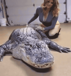 these girls are very skilled 36 gifs 6.html - 1 HD GIF | Premium Gallery 2022