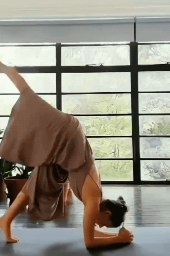these girls are very skilled 36 gifs 6.html - 1 HD GIF | Premium Gallery 2022
