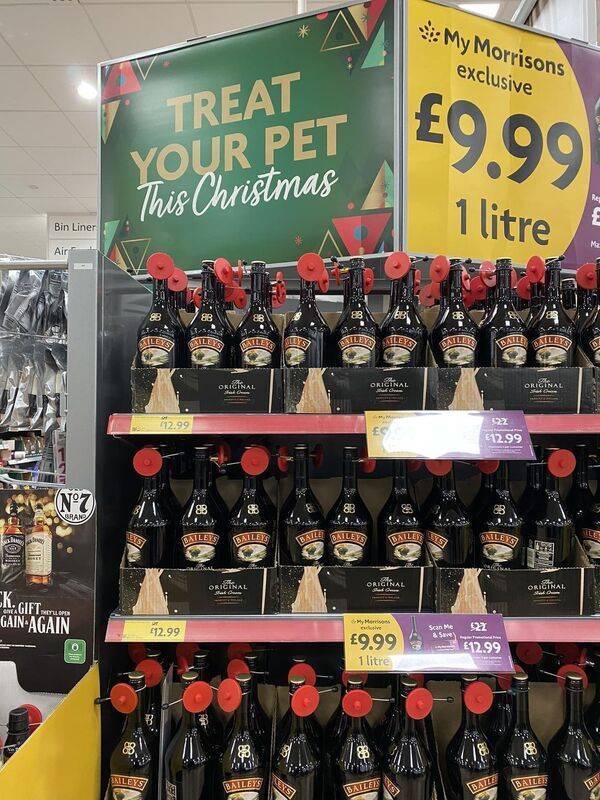 cheers to everyone 35 pics 8 gifs 2.html - 35 HD GIF | Premium Gallery 2022