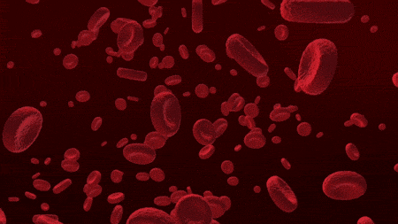 These NSFW Facts Are Very Naughty…