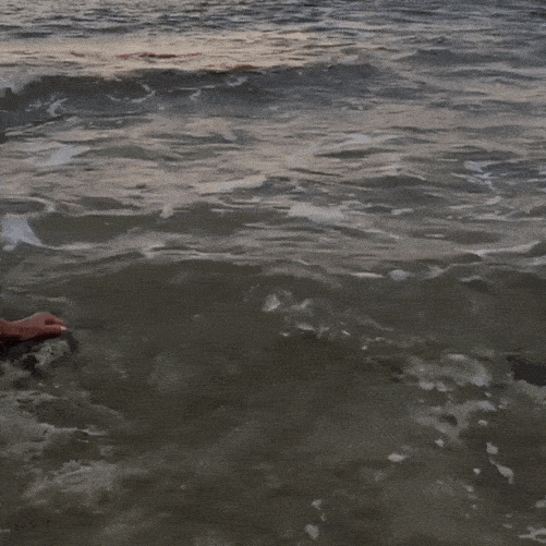 Their Legs Are SOO Long!