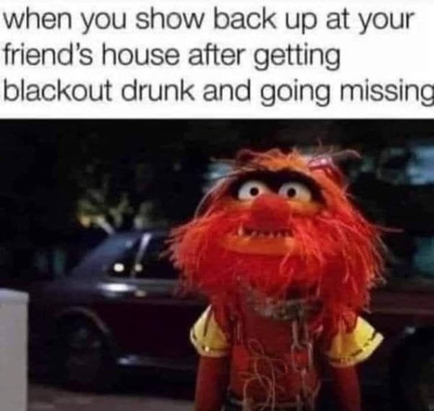 These Memes Are Already Drunk…