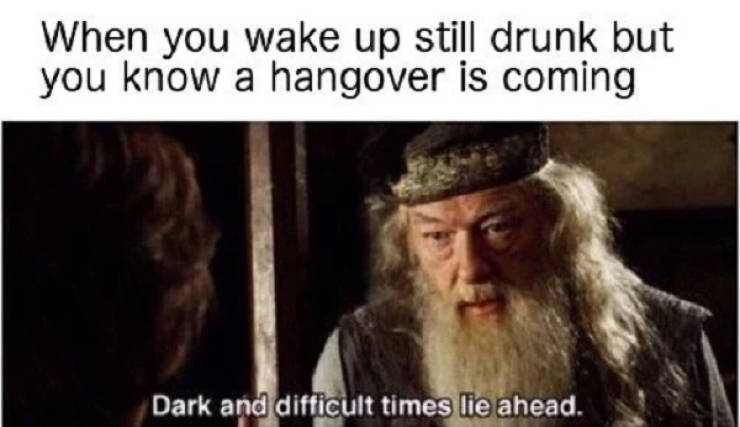 These Memes Are Already Drunk…