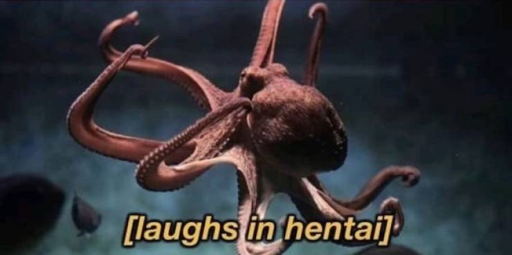 People Share Their Craziest Sexual Fantasies