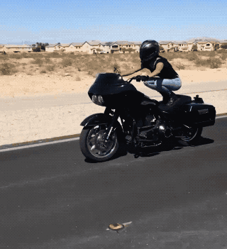 Adrenaline-Fueled Sexy Stunt Rider