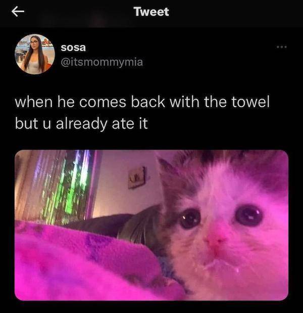 dirtier dirtier 23 pics 1.html - 23 HD Photos | Premium Gallery 2023