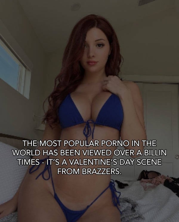 Porn Knowledge For Everyone