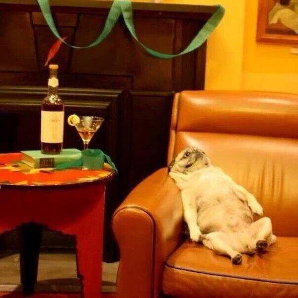 They’ll Never Stop Drinking…