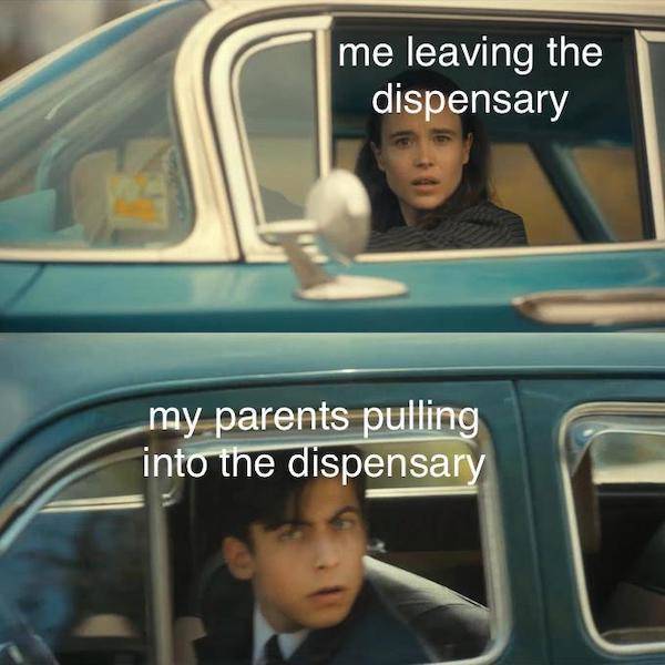 these stoner memes are already high 53 pics 1.html - 53 HD Photos | Premium Gallery 2023