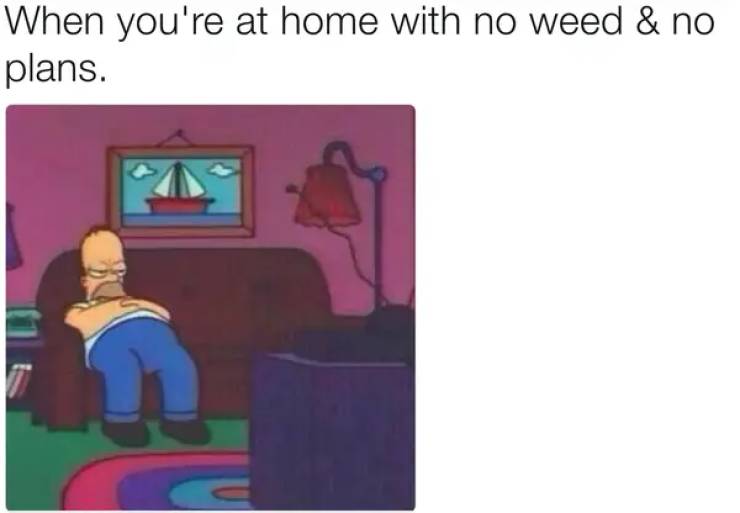these stoner memes are already high 53 pics 1.html - 53 HD Photos | Premium Gallery 2023