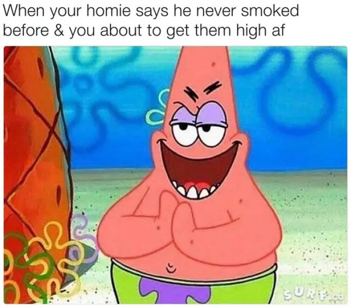 these stoner memes are already high 53 pics 1.html - 53 HD Photos | Premium Gallery 2023