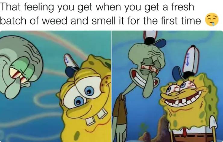 these stoner memes are already high 53 pics 1.html - 53 HD Photos | Premium Gallery 2023