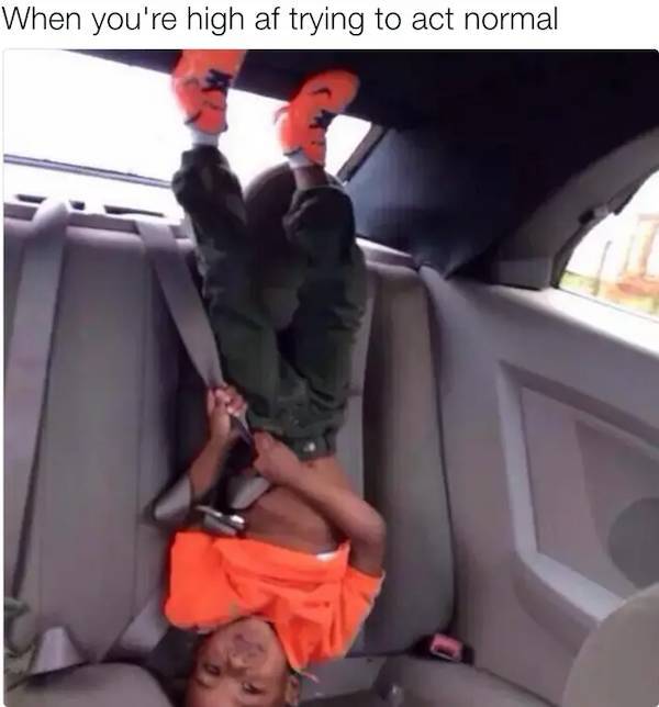 these stoner memes are already high 53 pics 1.html - 53 HD Photos | Premium Gallery 2023