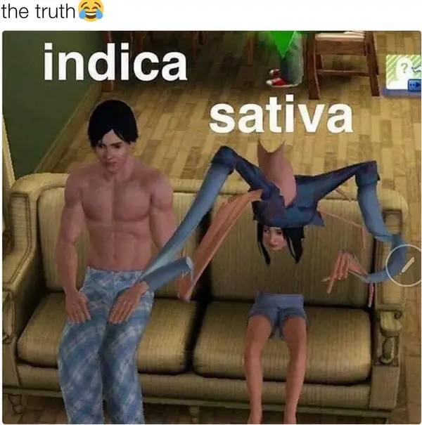 these stoner memes are already high 53 pics 1.html - 53 HD Photos | Premium Gallery 2023