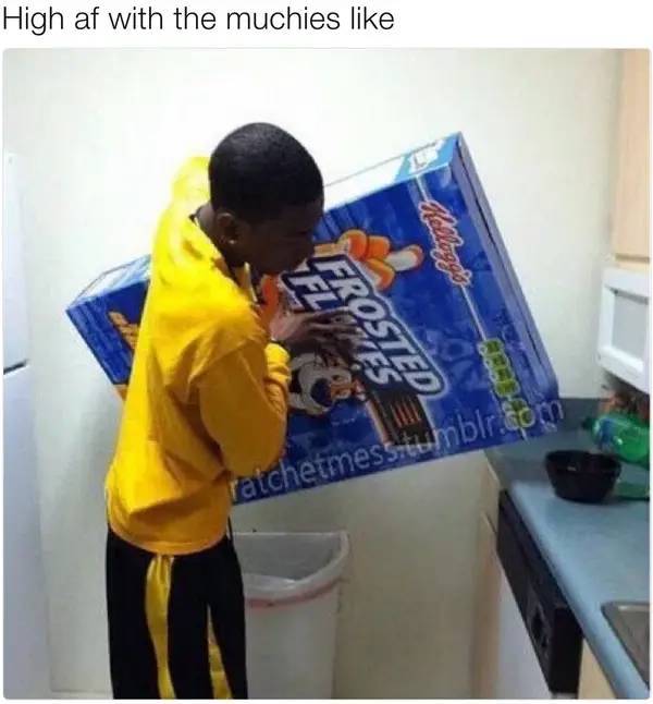 these stoner memes are already high 53 pics 1.html - 53 HD Photos | Premium Gallery 2023