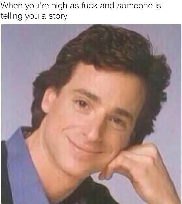 these stoner memes are already high 53 pics 1.html - 53 HD Photos | Premium Gallery 2023