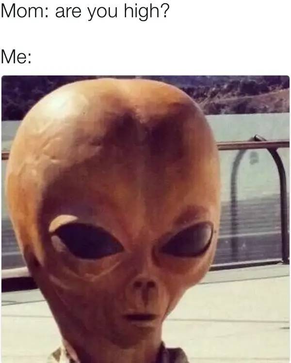 these stoner memes are already high 53 pics 1.html - 53 HD Photos | Premium Gallery 2023