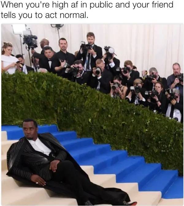 these stoner memes are already high 53 pics 1.html - 53 HD Photos | Premium Gallery 2023