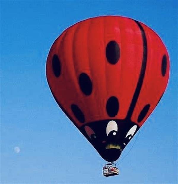 Just Some Dirty Minded BALLOONS