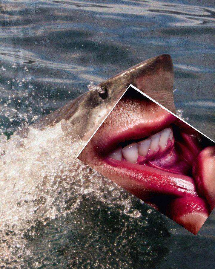 Seductive Collages By Emir Shiro