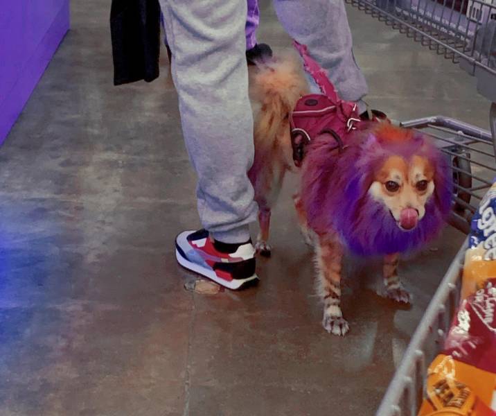 What’s Going On At “Walmart”?!