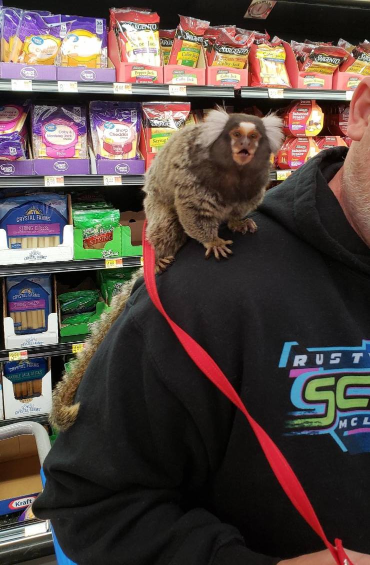 What’s Going On At “Walmart”?!