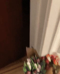 dirty minds only 42 gifs 3.html - 1 HD GIF | Premium Gallery 2023