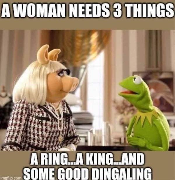 welcome to the memehub 53 pics 1 gif 2.html - 53 HD GIF | Premium Gallery 2023