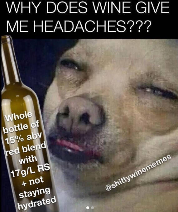 how drunk are they 54 pics 25.html - 54 HD Photos | Premium Gallery 2023