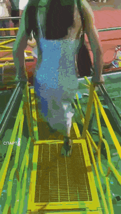 dirty minds only 42 gifs 3.html - 1 HD GIF | Premium Gallery 2023