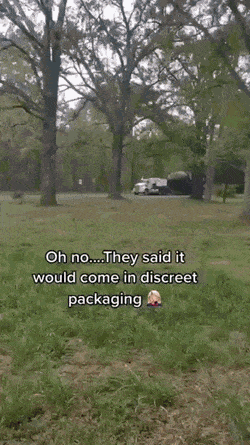 dirty minds only 42 gifs 3.html - 1 HD GIF | Premium Gallery 2023