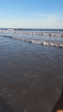 dirty minds only 42 gifs 3.html - 1 HD GIF | Premium Gallery 2023