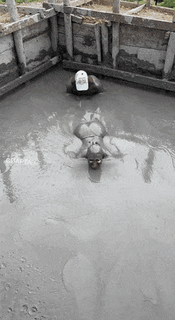 dirty minds only 42 gifs 3.html - 1 HD GIF | Premium Gallery 2023