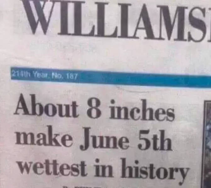 they knew exactly what they were doing 44 pics 1.html - 44 HD Photos | Premium Gallery 2023