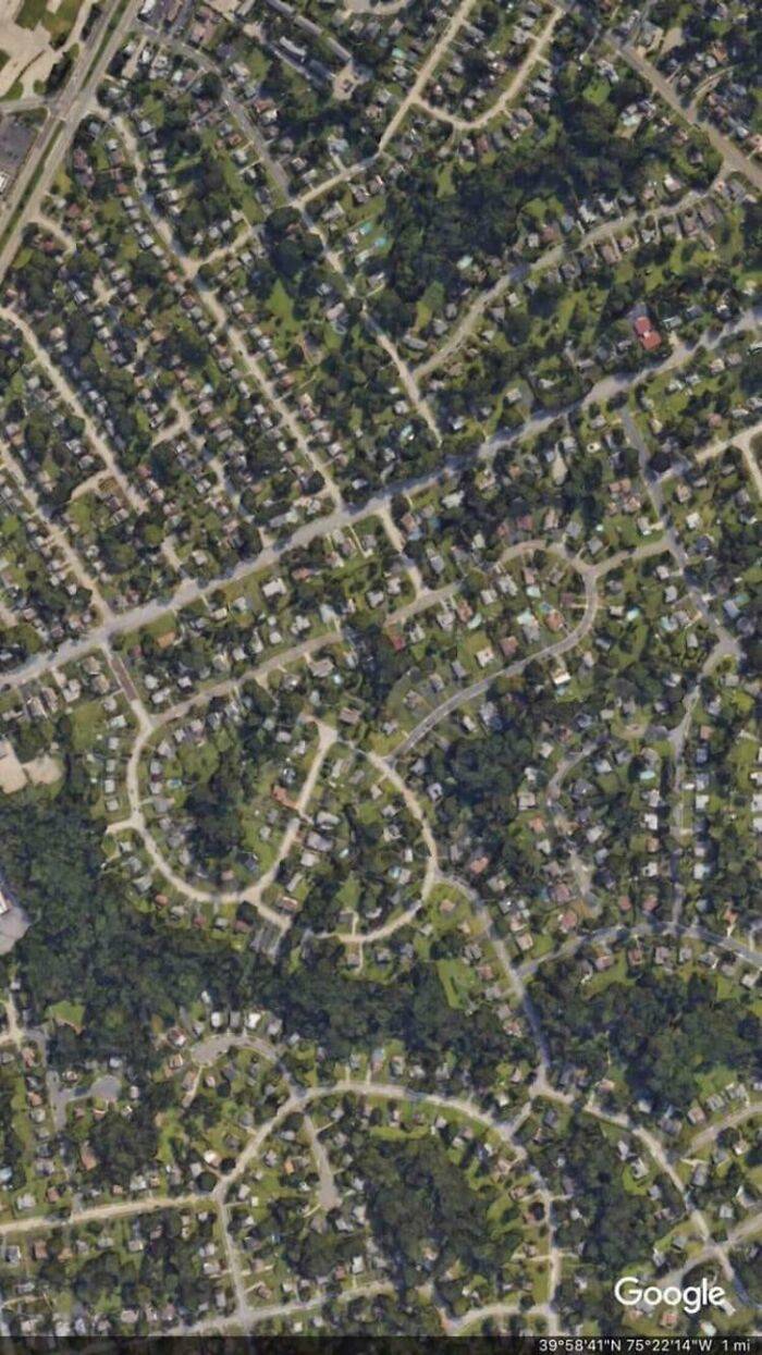 they knew exactly what they were doing 44 pics 1.html - 44 HD Photos | Premium Gallery 2023