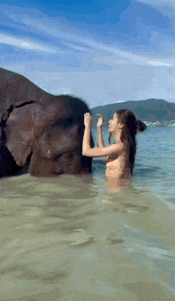 dirty minds only 42 gifs 6.html - 1 HD GIF | Premium Gallery 2023