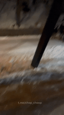 dirty minds only 42 gifs 6.html - 1 HD GIF | Premium Gallery 2023