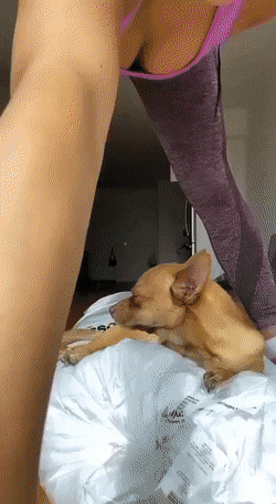 dirty minds only 42 gifs 6.html - 1 HD GIF | Premium Gallery 2023