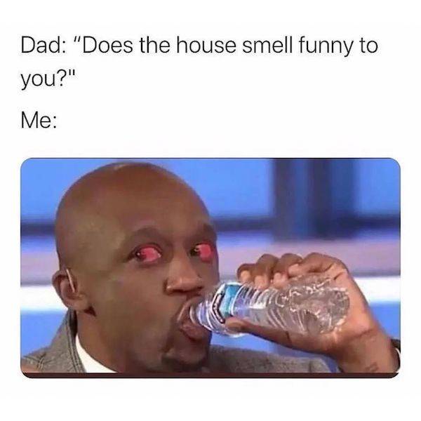 these stoner memes are already high 58 pics 10.html - 58 HD Photos | Premium Gallery 2023