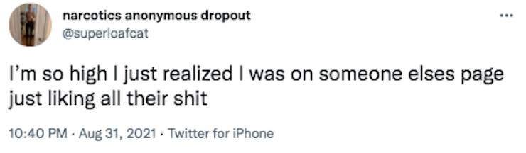 these stoner memes are already high 58 pics 10.html - 58 HD Photos | Premium Gallery 2023