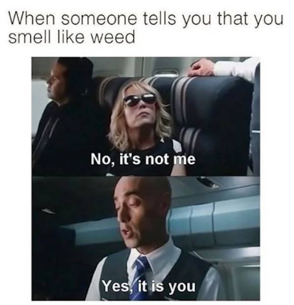 these stoner memes are already high 58 pics 10.html - 58 HD Photos | Premium Gallery 2023