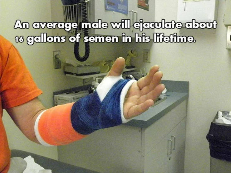 Fascinating NSFW Facts