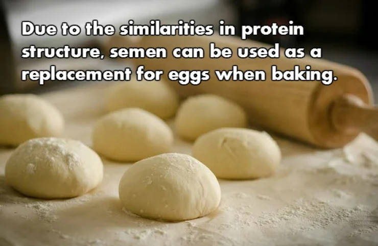 Fascinating NSFW Facts