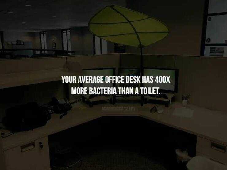 Creepy Facts Are Terrifyingly Interesting