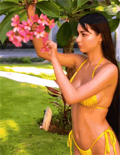 hot girls are here for you 42 gifs 3.html - 1 HD GIF | Premium Gallery 2023